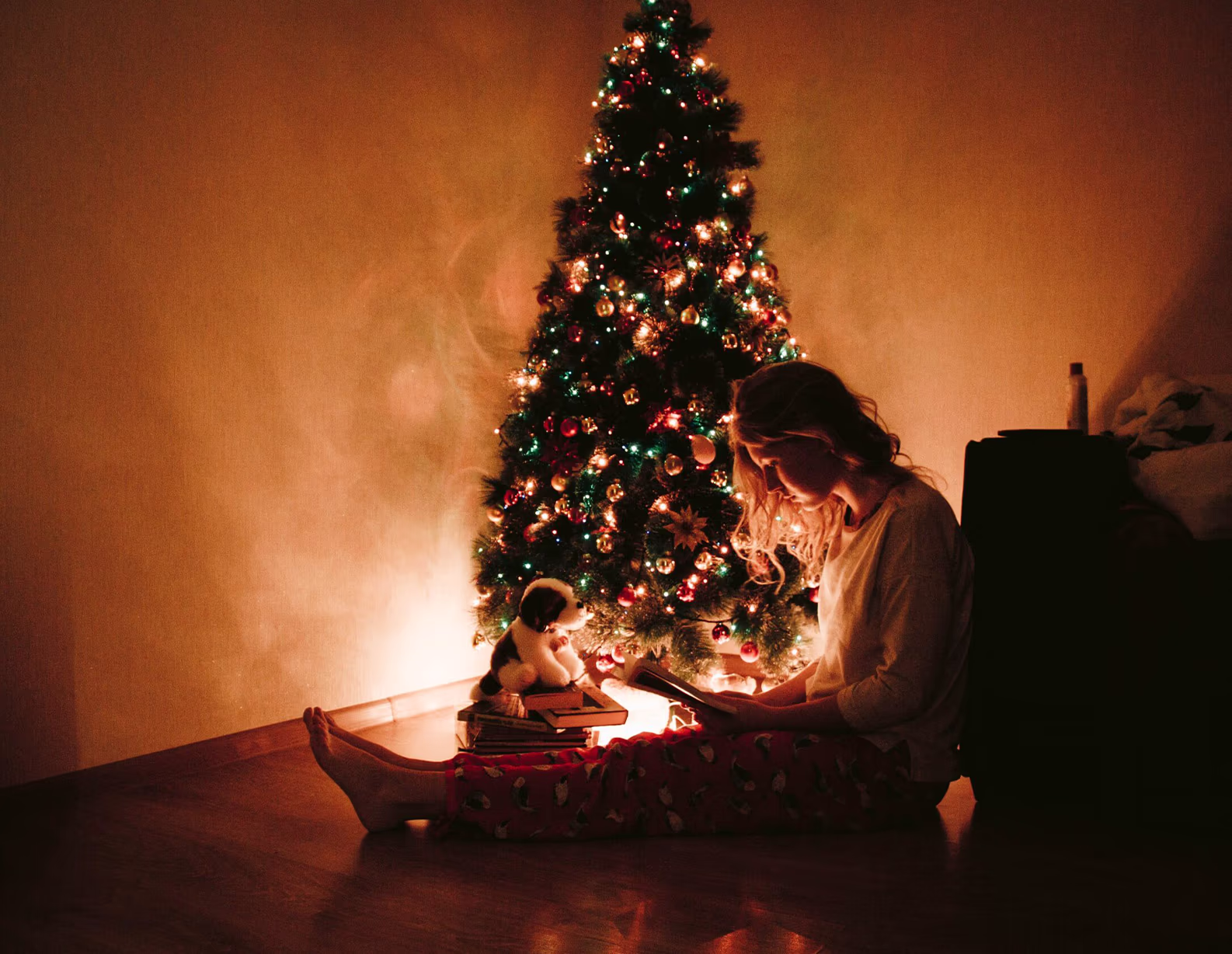 1. svátek vánoční